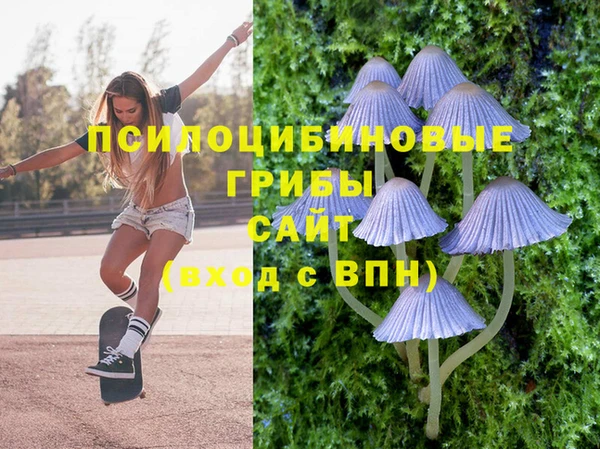 spice Алзамай