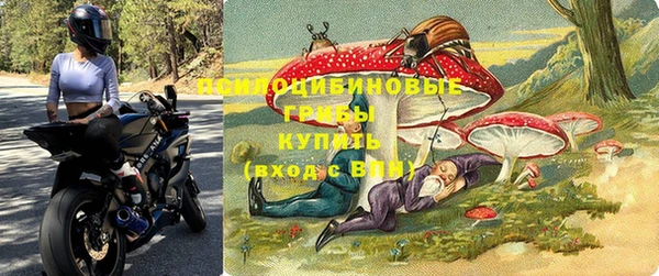 трава Алексин