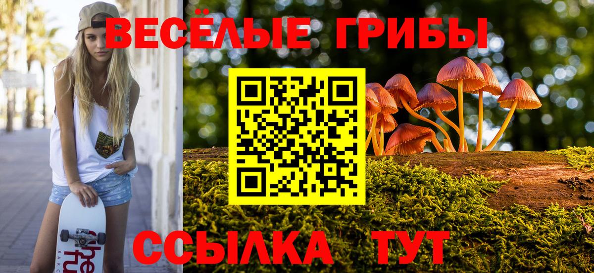 Псилоцибиновые грибы мицелий  даркнет сайт  Мытищи  Вход с VPN 