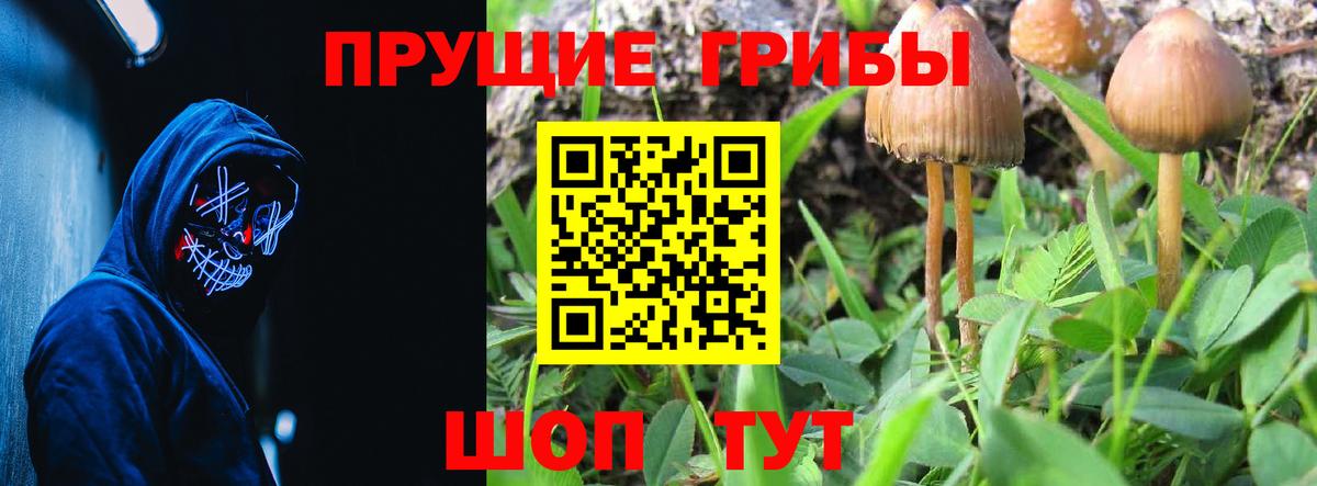 Псилоцибиновые грибы прущие грибы Мытищи
